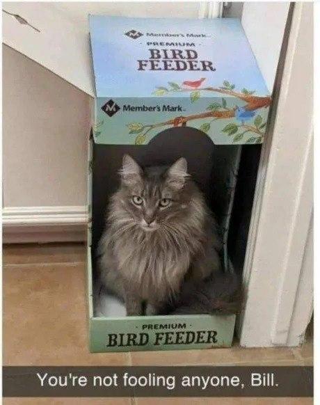 Something looks off with this bird feeder