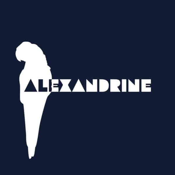 Alexandrine Parakeet Silhouette