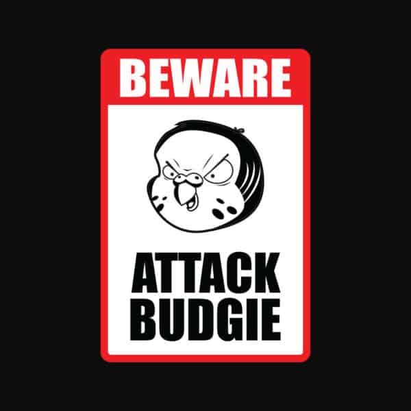 Beware Attack Budgie