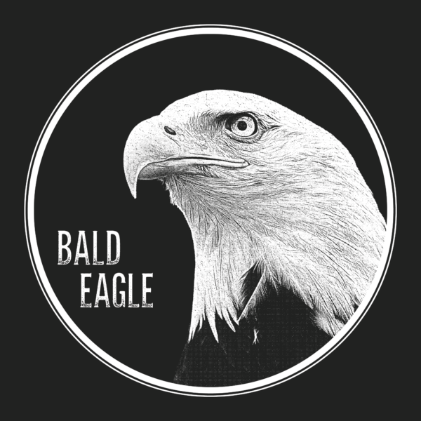 Bald Eagle Portrait Shirt