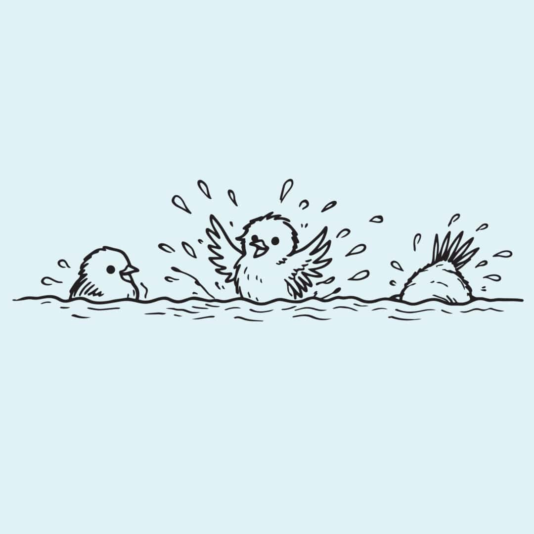 Birdwear logo featuring illustrated birds bathing and splashing in water.