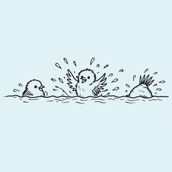 Birdwear logo featuring illustrated birds bathing and splashing in water.