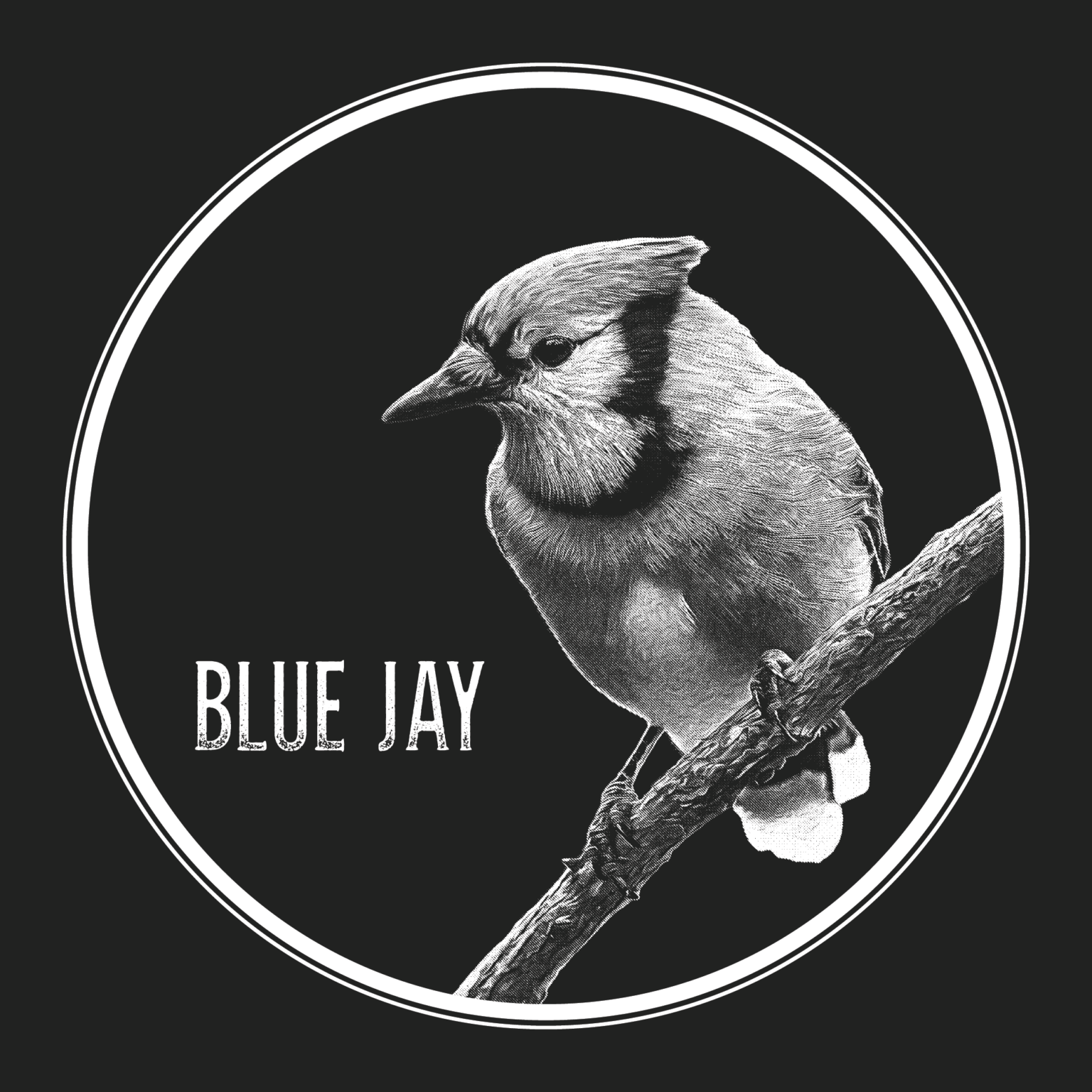 Blue Jay Portrait T-Shirt