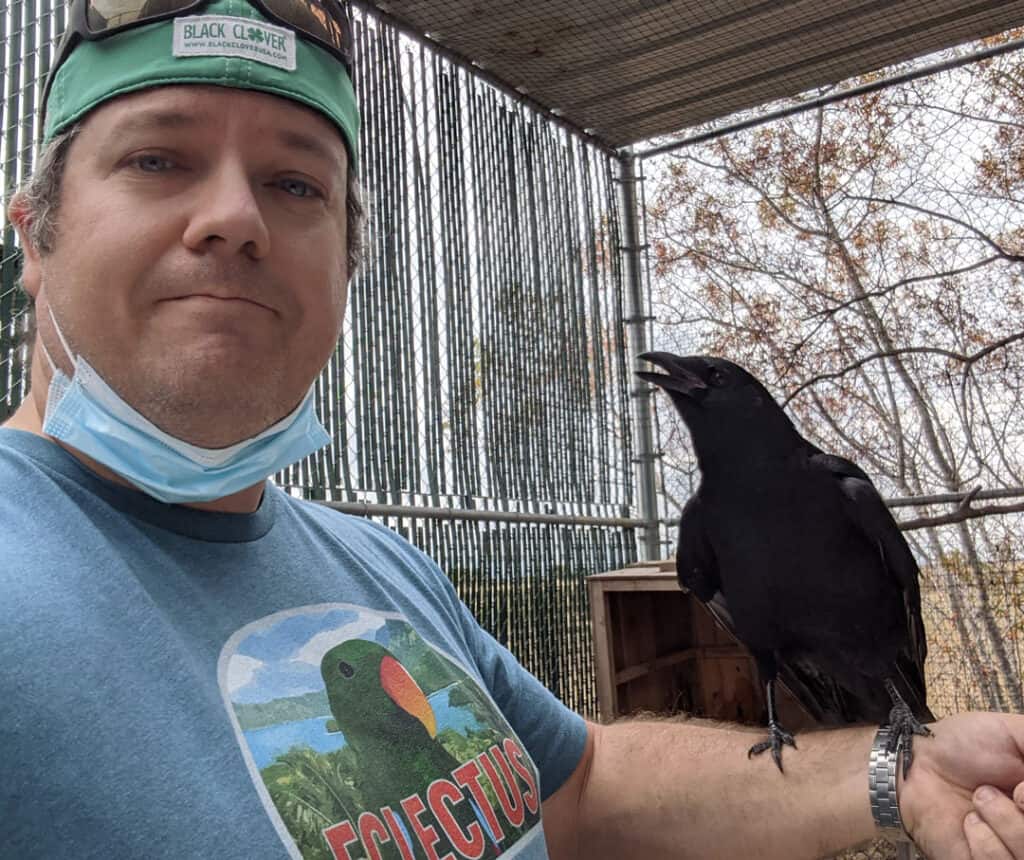 Meeting Ambassador Crows