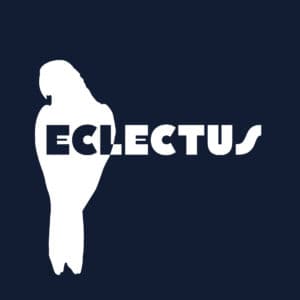 Eclectus Parrot Silhouette