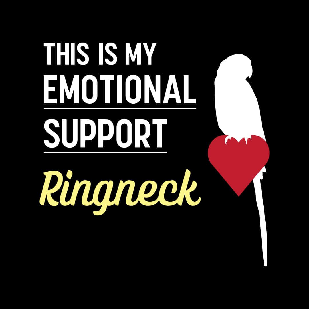 This is my emotional support Ringneck