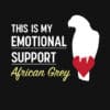 This is my Emotional Support African Grey