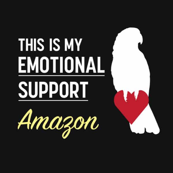 This is my Emotional Support Amazon Parrot