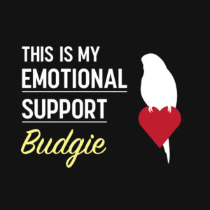 This is my Emotional Support Budgie