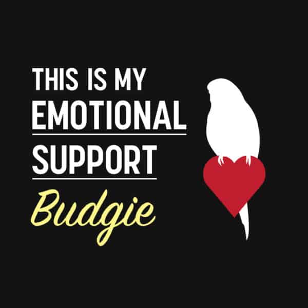 This is my Emotional Support Budgie