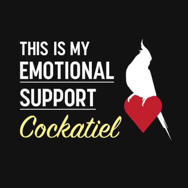 This is my Emotional Support Cockatiel