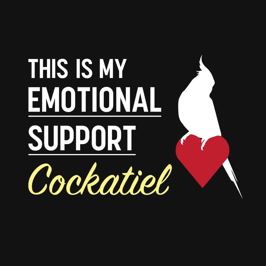 This is my Emotional Support Cockatiel