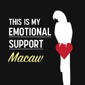 This is my Emotional Support Macaw