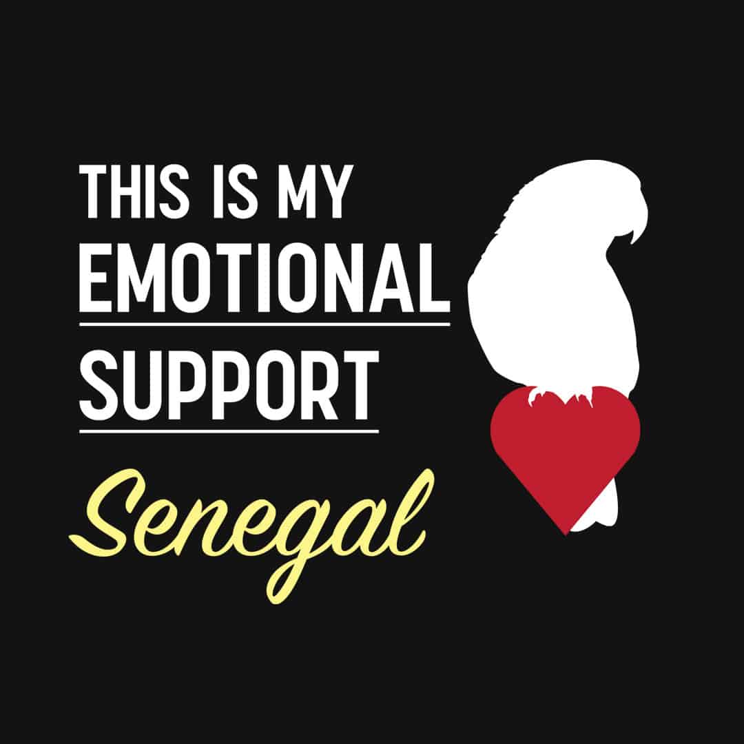 This is my Emotional Support Senegal Parrot