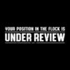 Your Position In The Flock Is Under Review Shirt