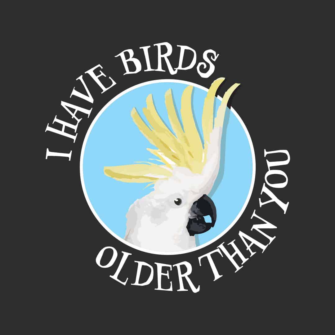 I have Birds Older Than You