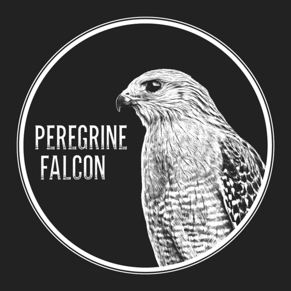 Peregrine Falcon Portrait T-Shirt