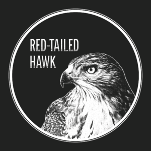 Red-Tailed Hawk Portrait Shirt