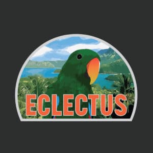 Retro Male Eclectus Parrot