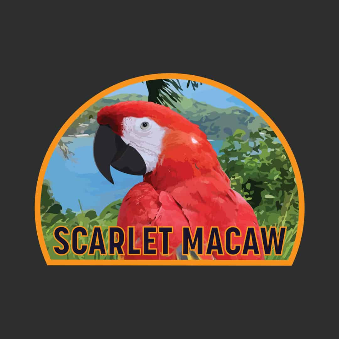 Retro Scarlet Macaw