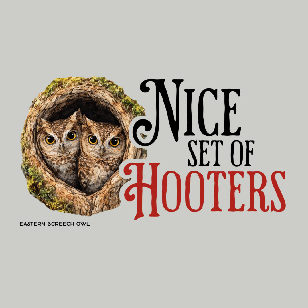 Nice Set of Hooters Screech Owl