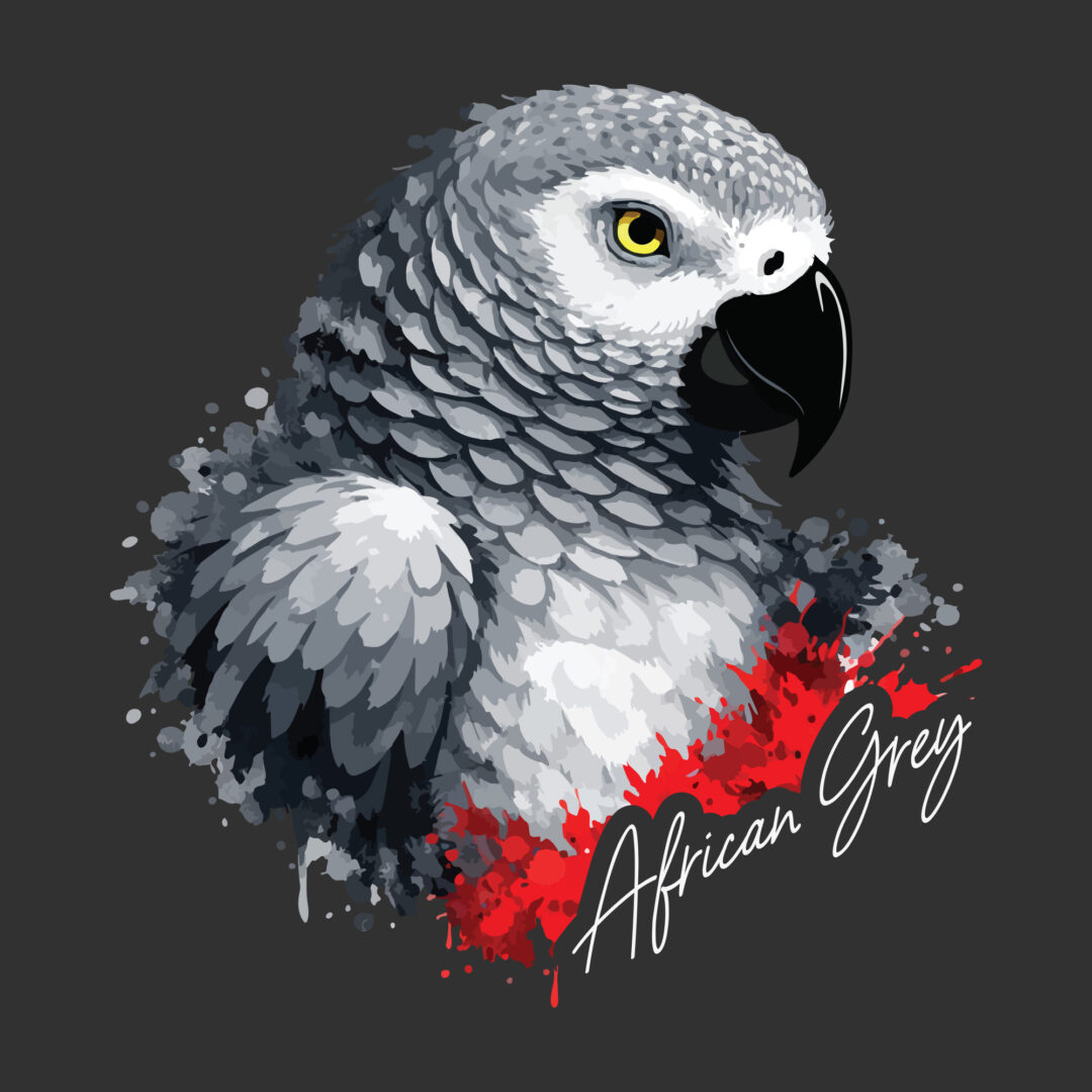 Splatterpaint African Grey Parrot