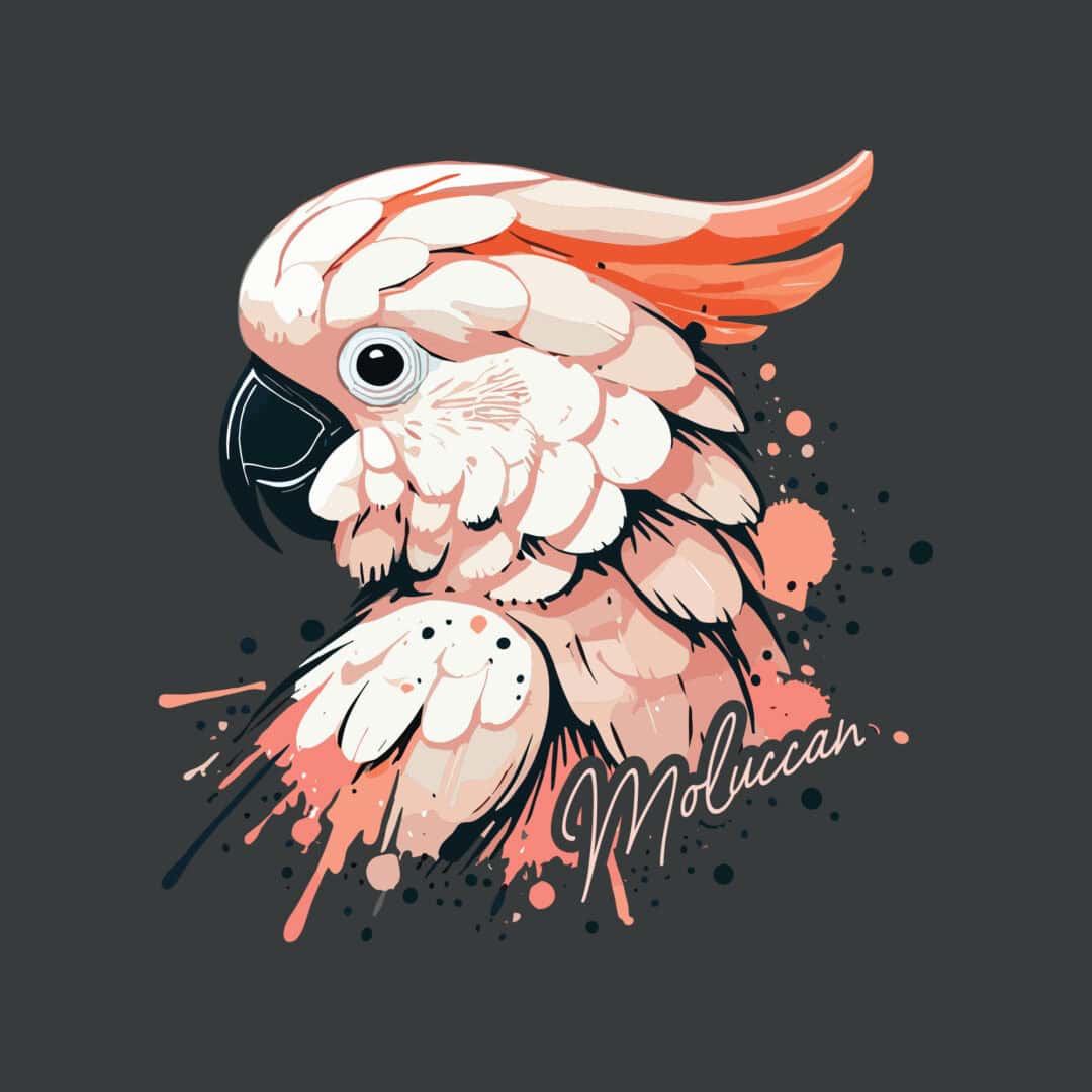 Splatterpaint Moluccan Cockatoo