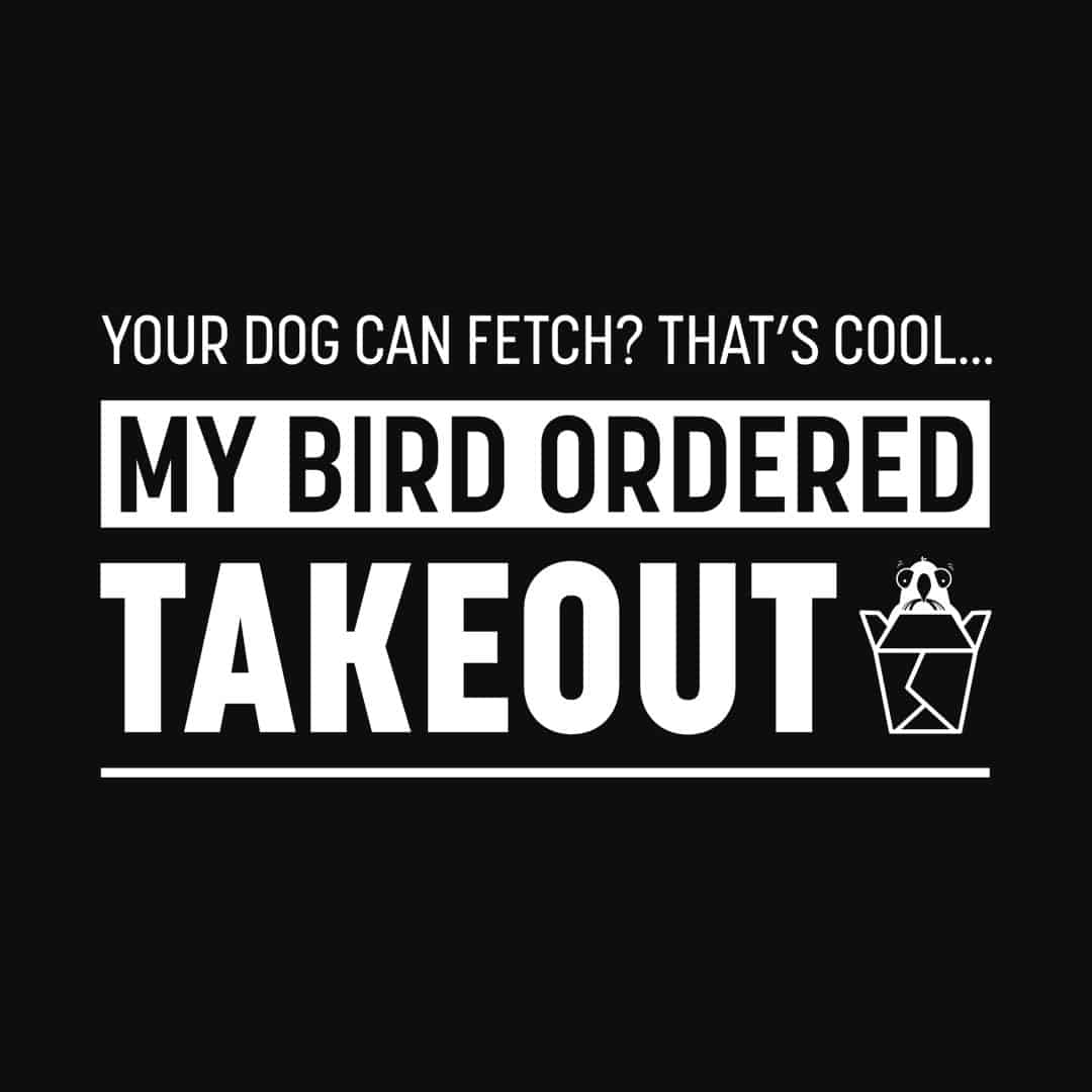My Bird Ordered Takeout