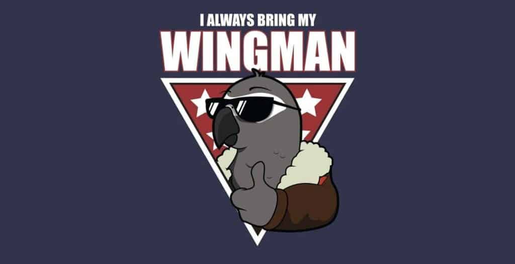 I Always Bring My Wingman